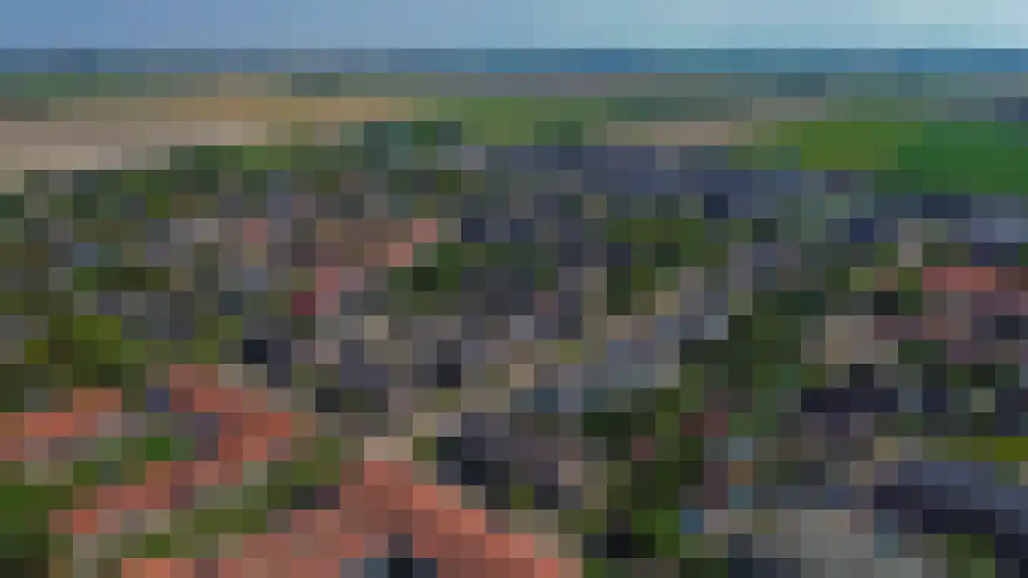 Akelei 28 Dirksland thumbnail 32