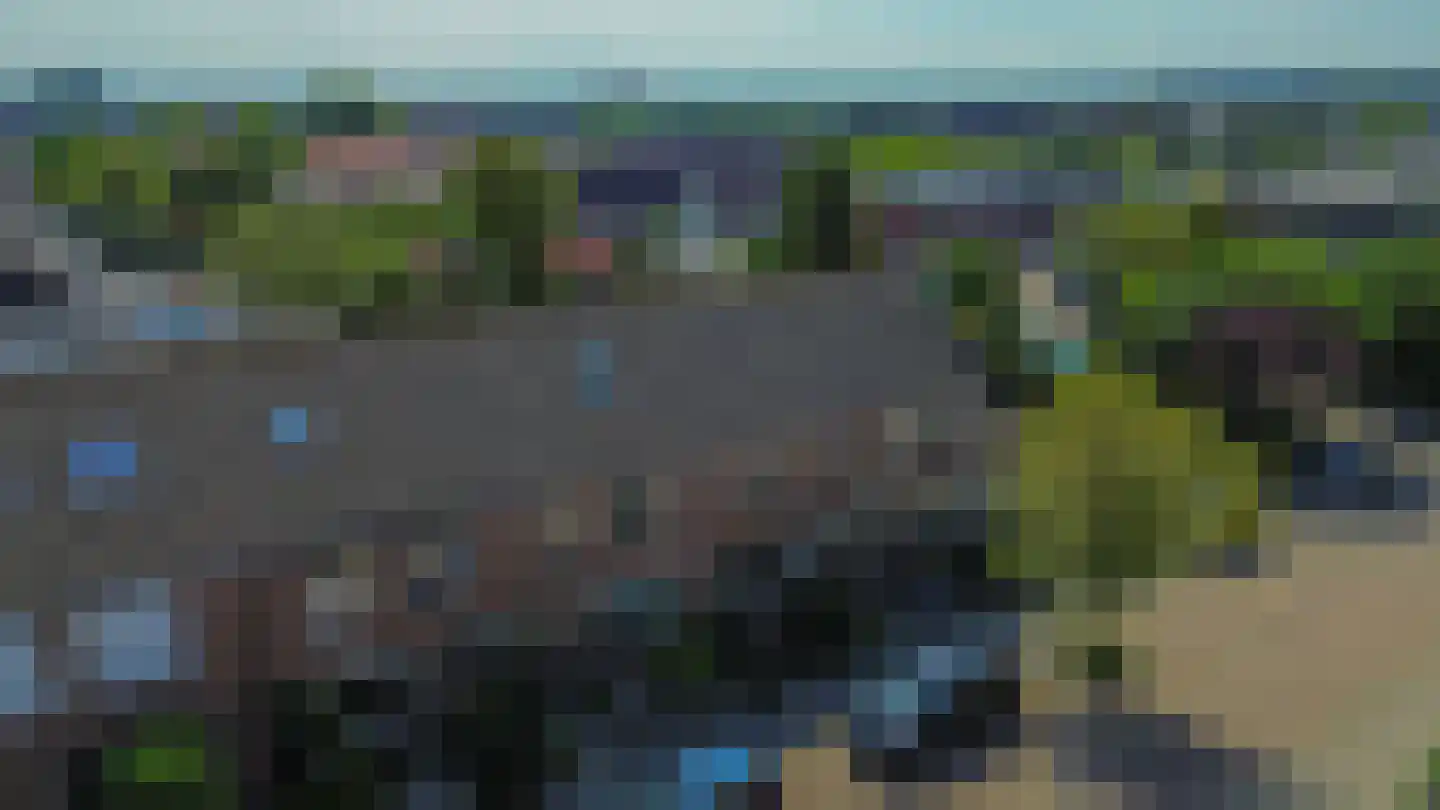 Akelei 28 Dirksland thumbnail 33
