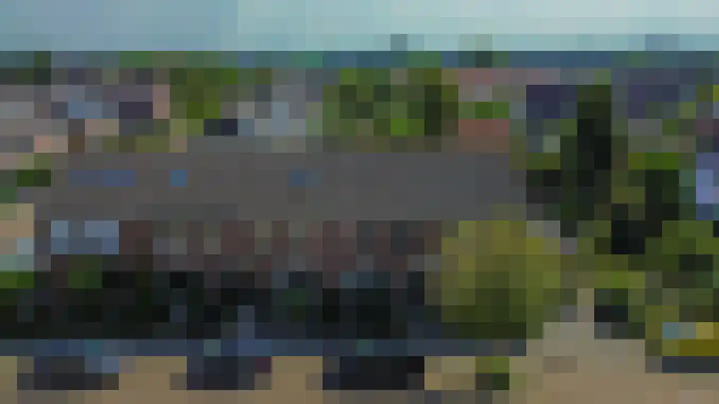 Akelei 28 Dirksland thumbnail 34