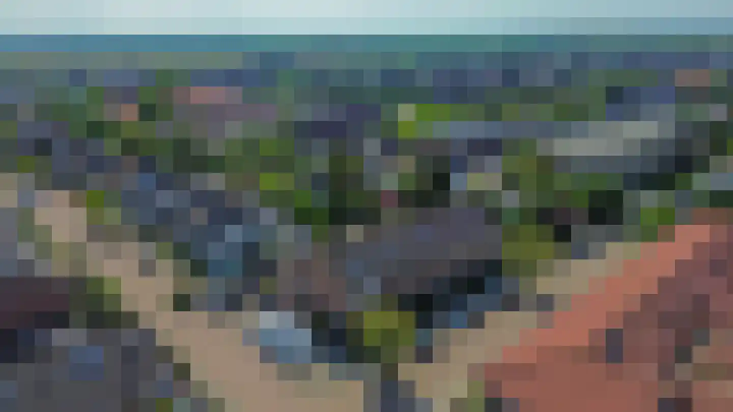 Akelei 28 Dirksland thumbnail 35