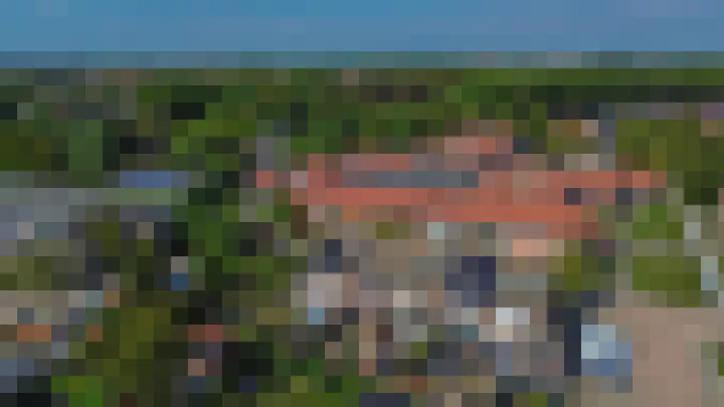 Akelei 28 Dirksland thumbnail 37