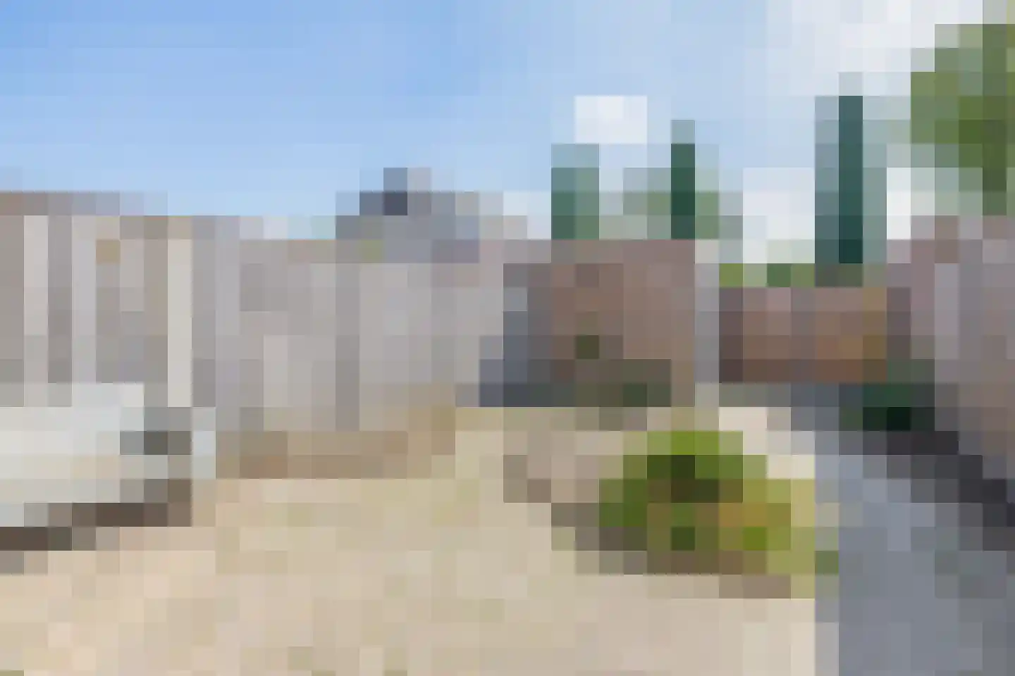 Akelei 28 Dirksland thumbnail 4