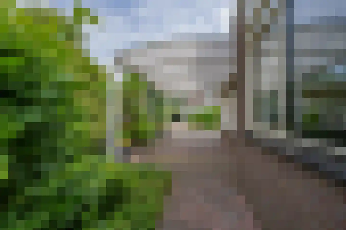 Akelei 29 Tiel thumbnail 11