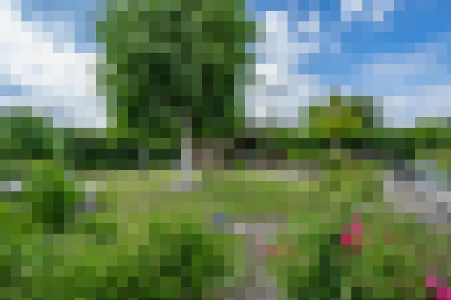 Akelei 29 Tiel thumbnail 16