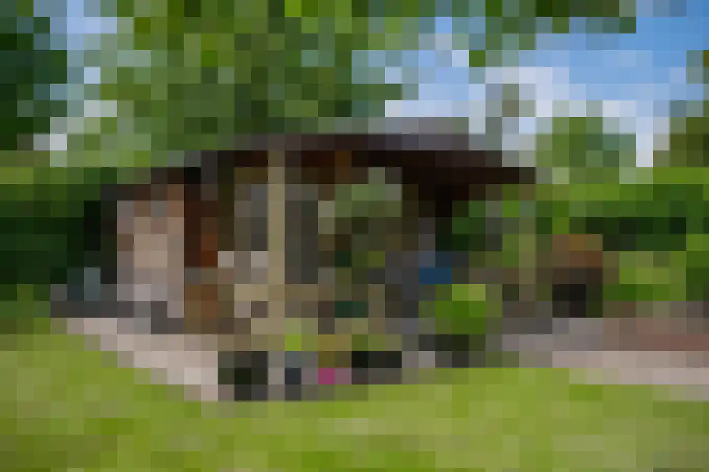 Akelei 29 Tiel thumbnail 22