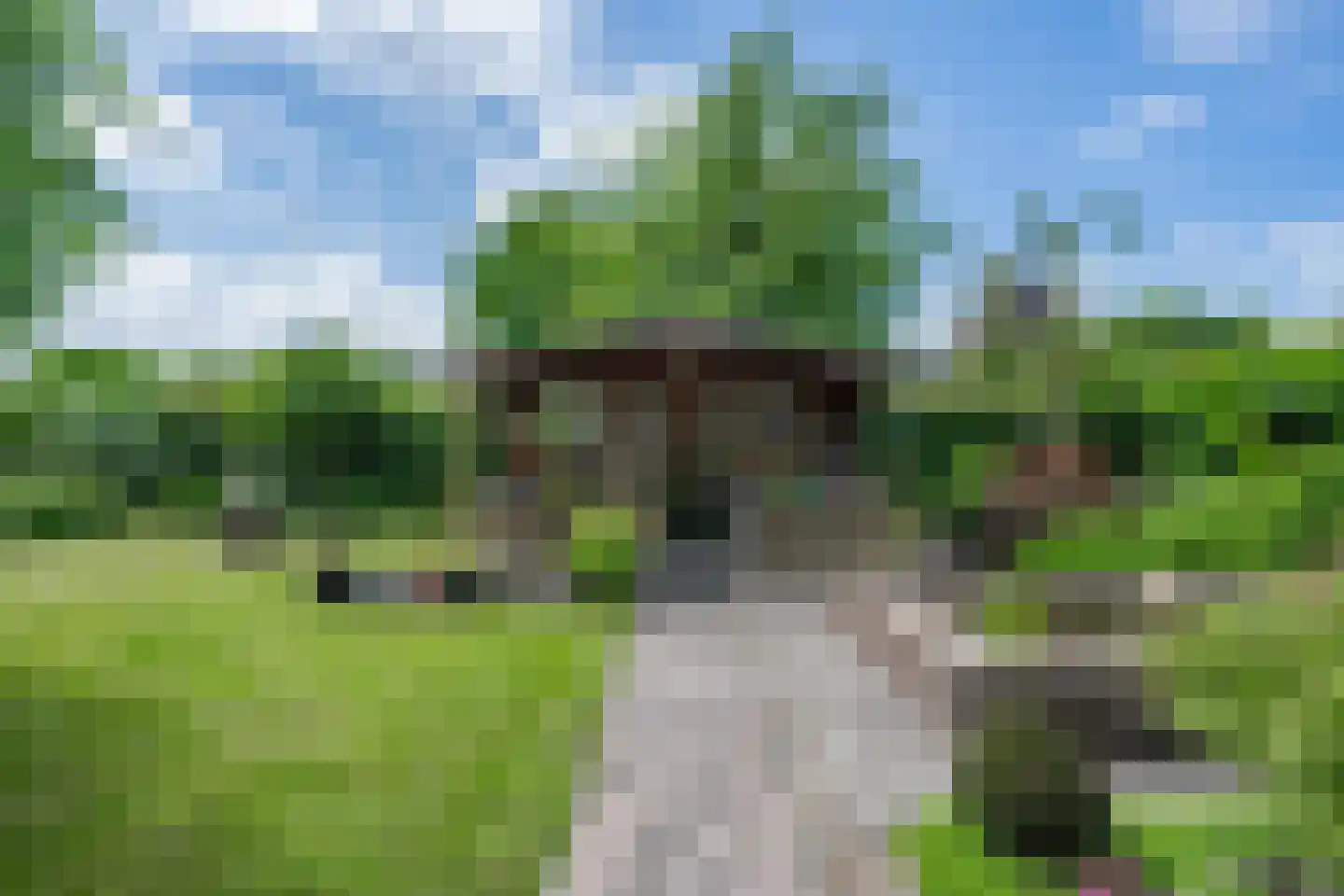 Akelei 29 Tiel thumbnail 23