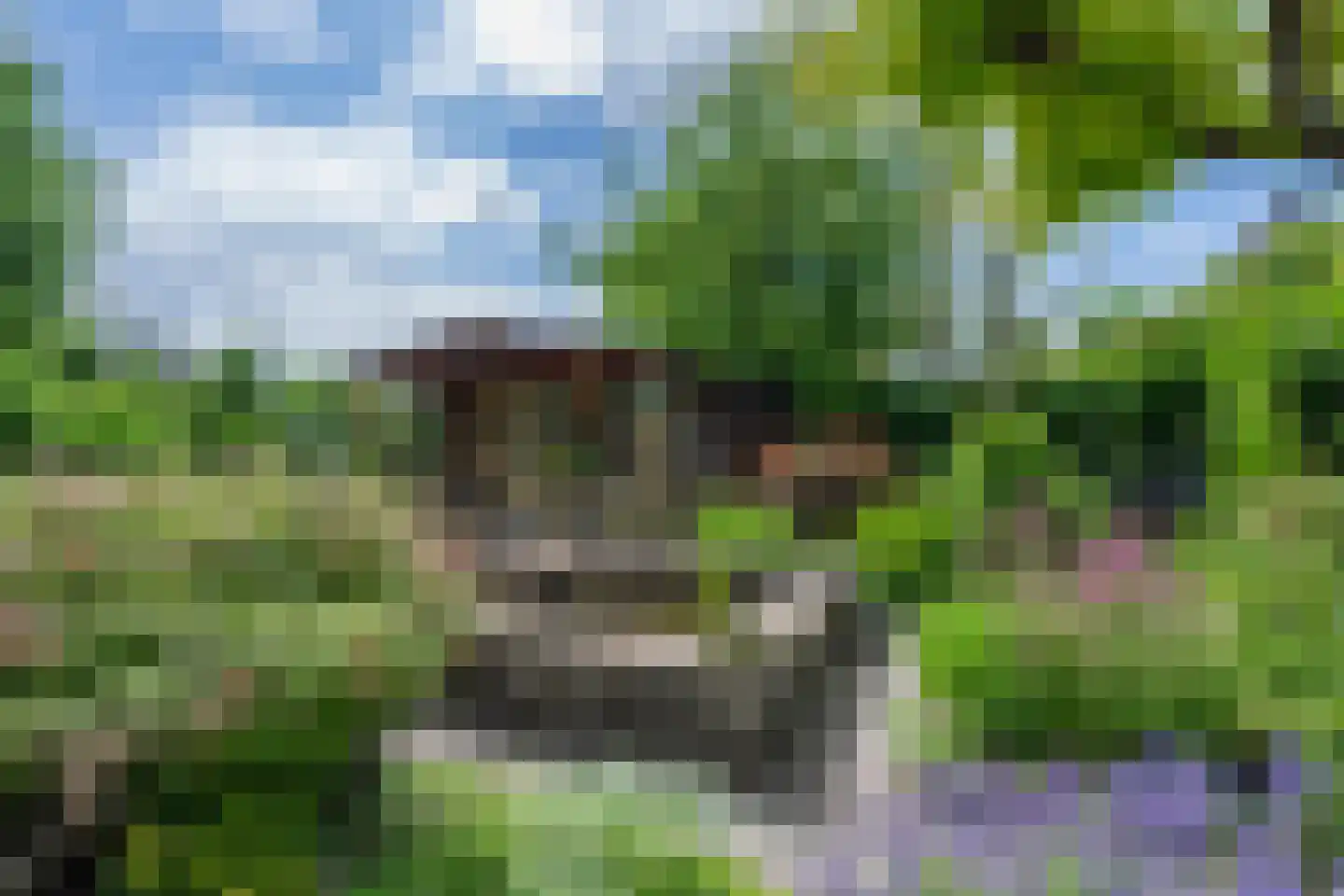 Akelei 29 Tiel thumbnail 24