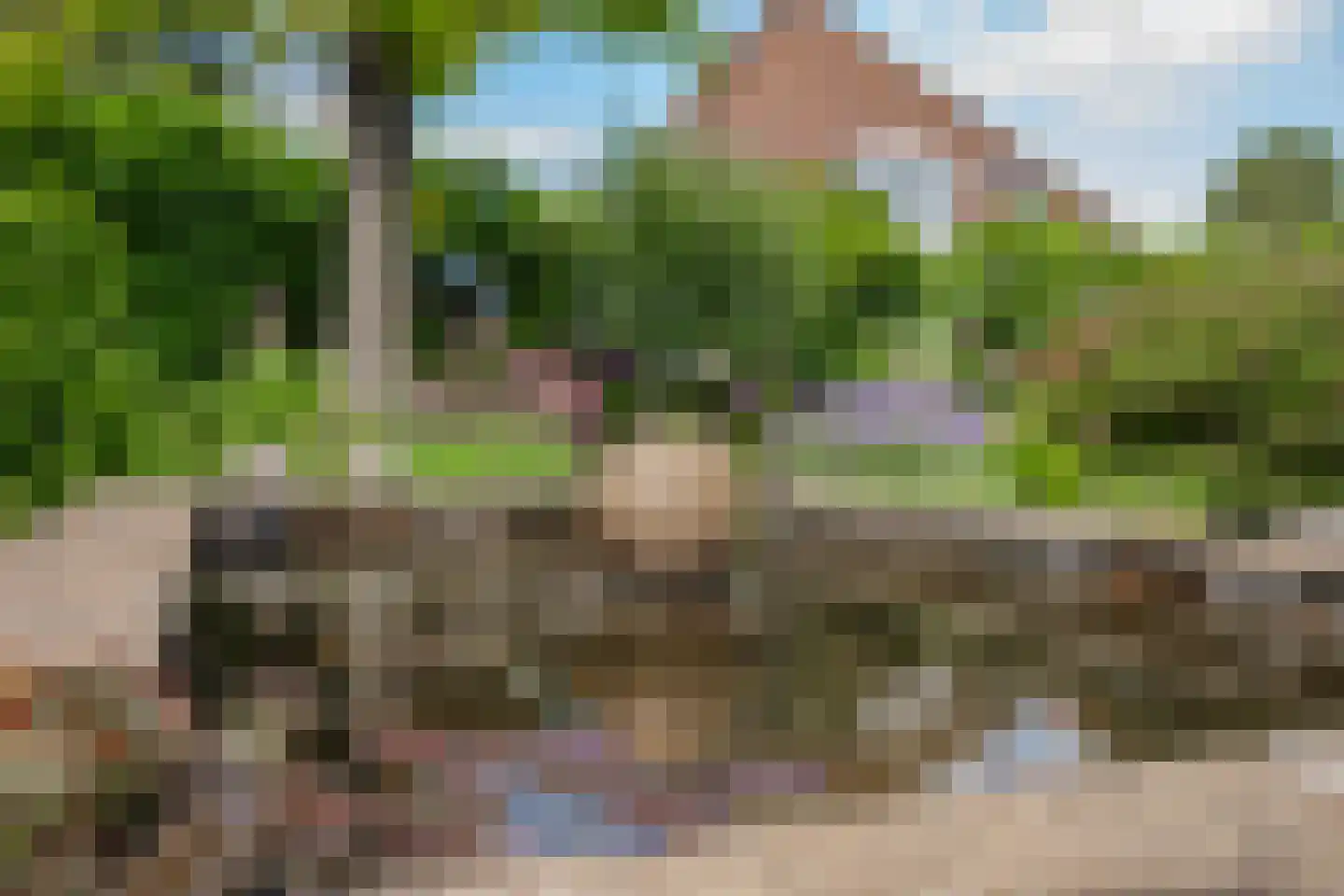 Akelei 29 Tiel thumbnail 25