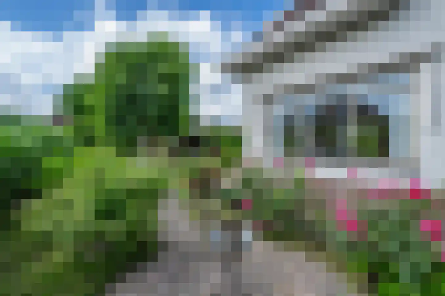 Akelei 29 Tiel thumbnail 33