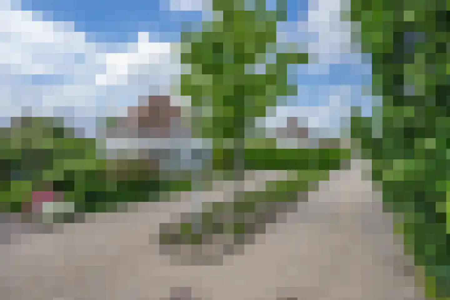 Akelei 29 Tiel thumbnail 4