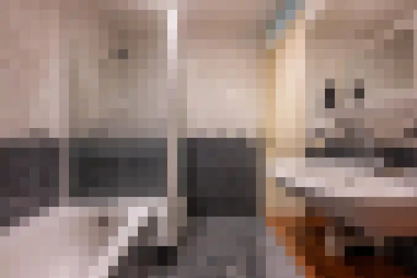 Akelei 29 Tiel thumbnail 64