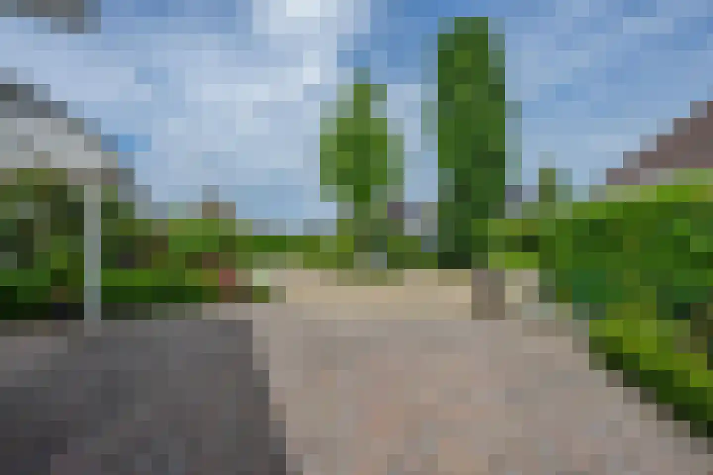 Akelei 29 Tiel thumbnail 9