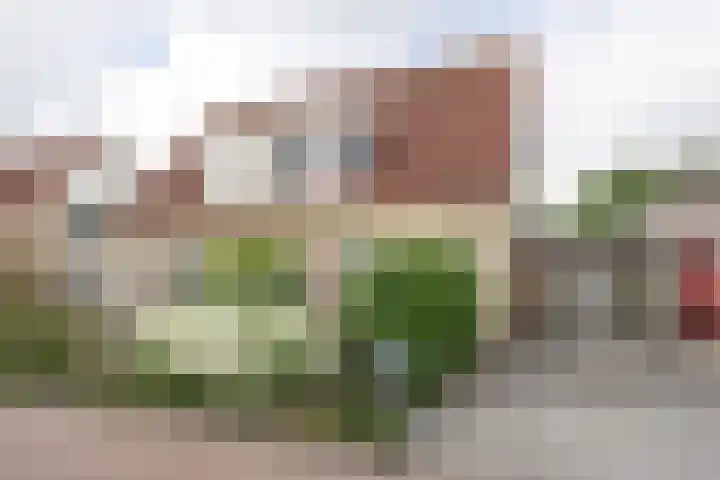 Akelei 35 Westerhaar-Vriezenveensewijk