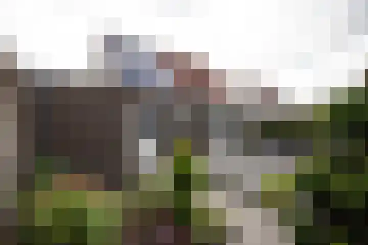 Akelei 35 Westerhaar-Vriezenveensewijk thumbnail 28
