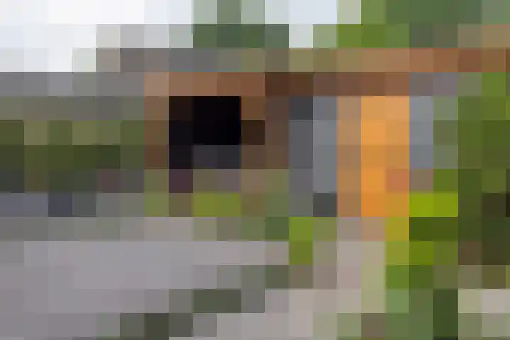 Akelei 35 Westerhaar-Vriezenveensewijk thumbnail 32