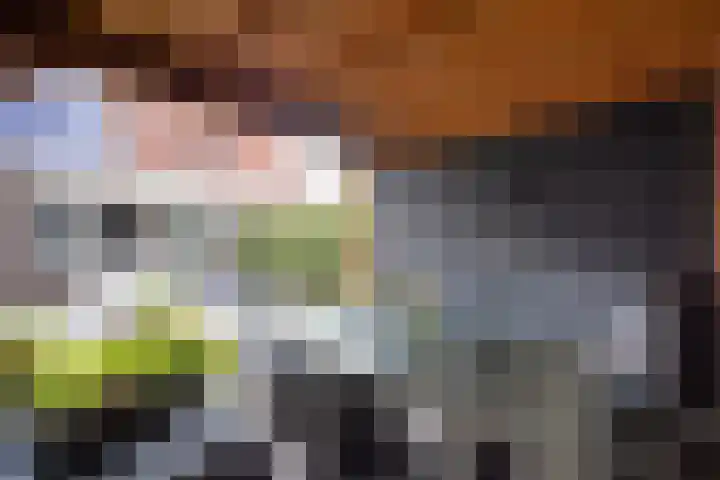 Akelei 35 Westerhaar-Vriezenveensewijk thumbnail 35