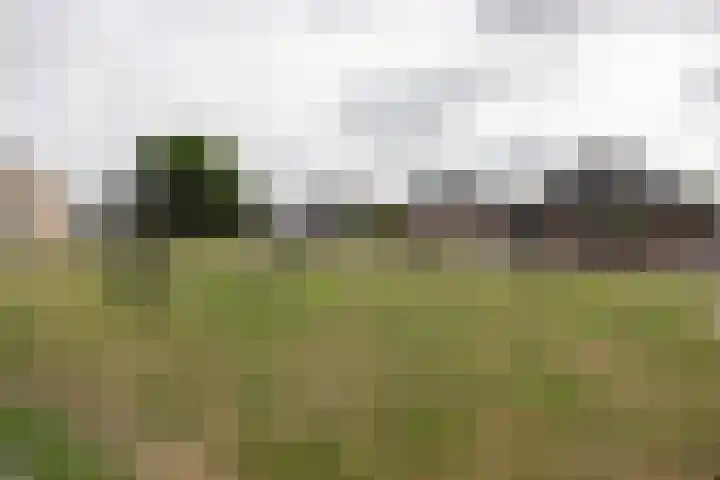 Akelei 35 Westerhaar-Vriezenveensewijk thumbnail 37