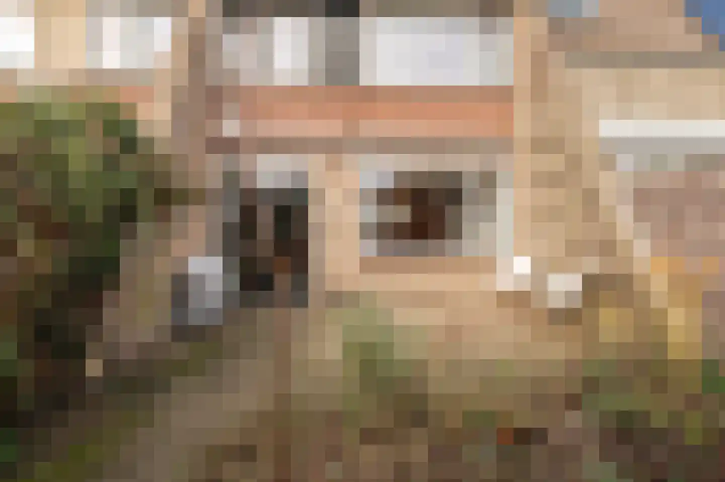 Akelei 38 Culemborg thumbnail 17
