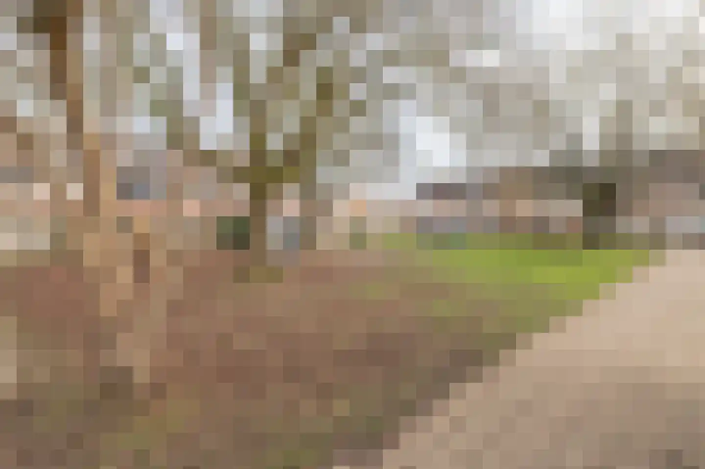Akelei 38 Culemborg thumbnail 37