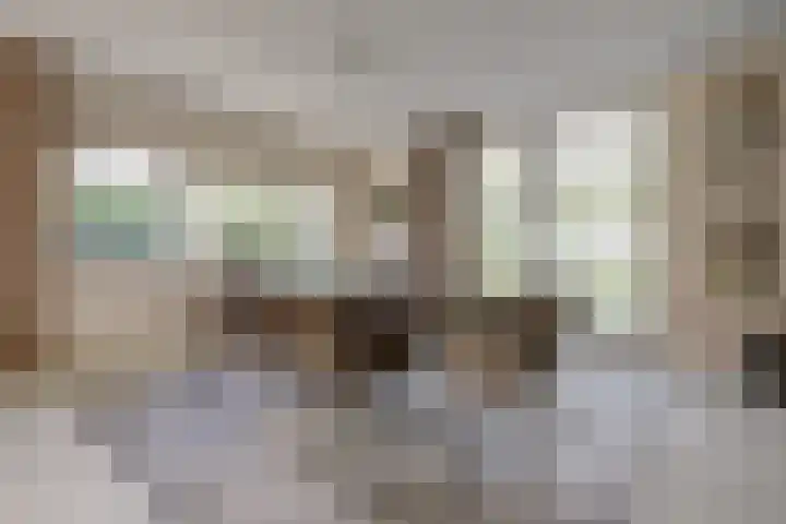Akelei 47 Tiel thumbnail 10