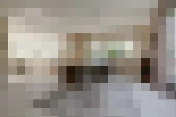 Akelei 47 Tiel thumbnail 11