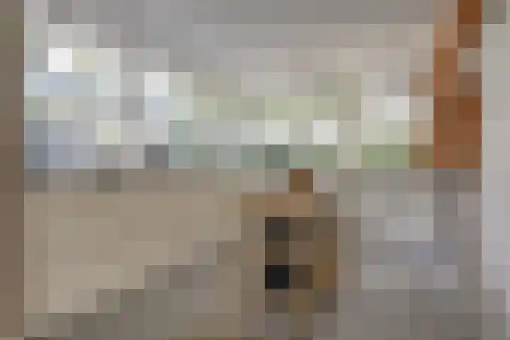 Akelei 47 Tiel thumbnail 12
