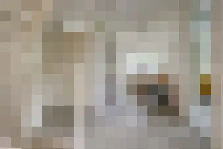 Akelei 47 Tiel thumbnail 28
