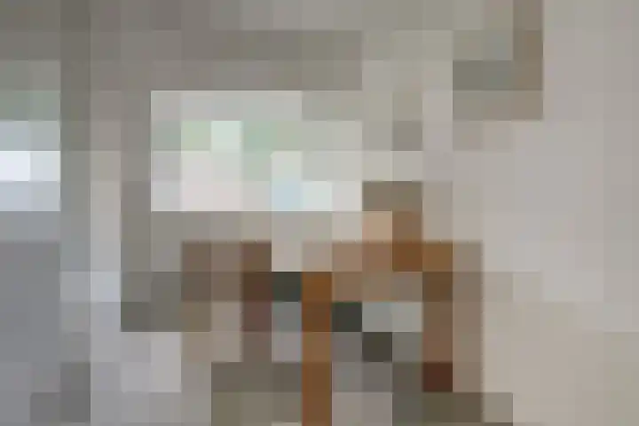 Akelei 47 Tiel thumbnail 29
