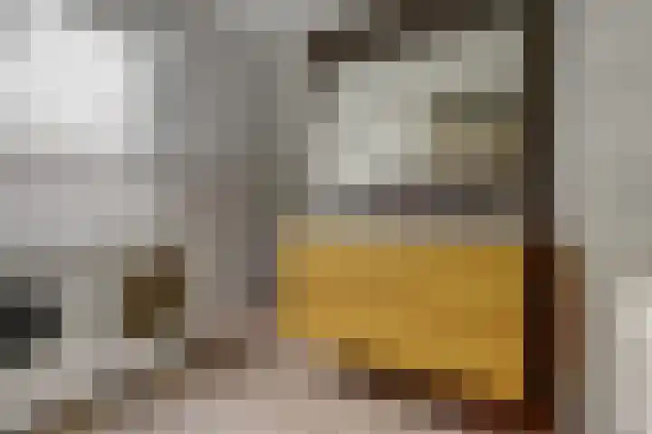 Akelei 47 Tiel thumbnail 30