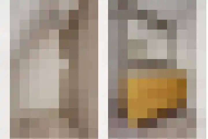 Akelei 47 Tiel thumbnail 32