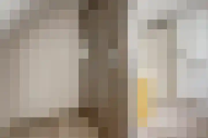 Akelei 47 Tiel thumbnail 33