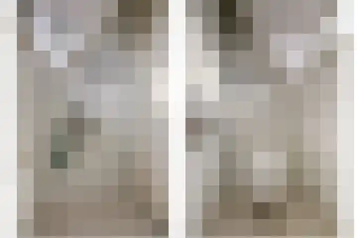 Akelei 47 Tiel thumbnail 34