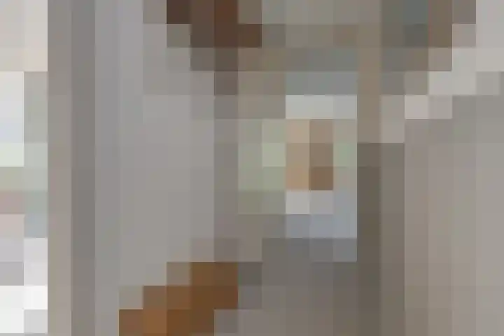 Akelei 47 Tiel thumbnail 37