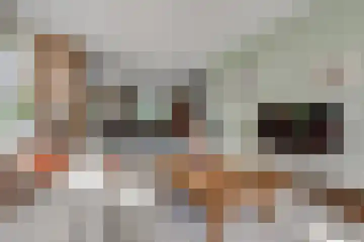 Akelei 47 Tiel thumbnail 4