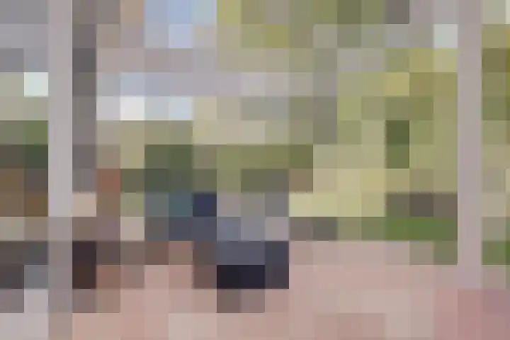 Akelei 47 Tiel thumbnail 42