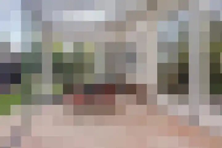 Akelei 47 Tiel thumbnail 44
