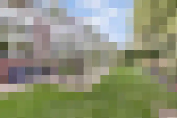 Akelei 47 Tiel thumbnail 46