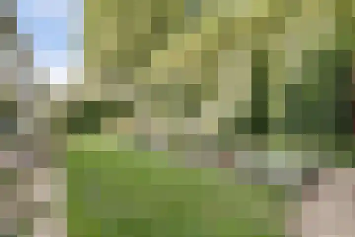 Akelei 47 Tiel thumbnail 47