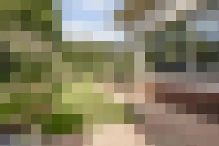 Akelei 47 Tiel thumbnail 49