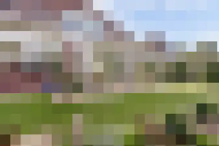 Akelei 47 Tiel thumbnail 50