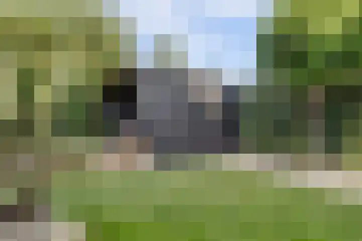 Akelei 47 Tiel thumbnail 51