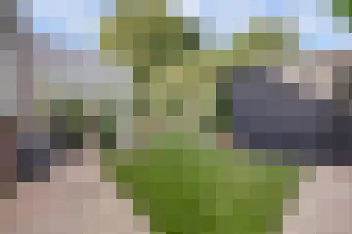 Akelei 47 Tiel thumbnail 52