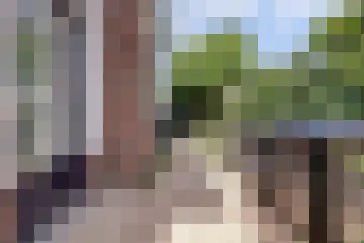 Akelei 47 Tiel thumbnail 53