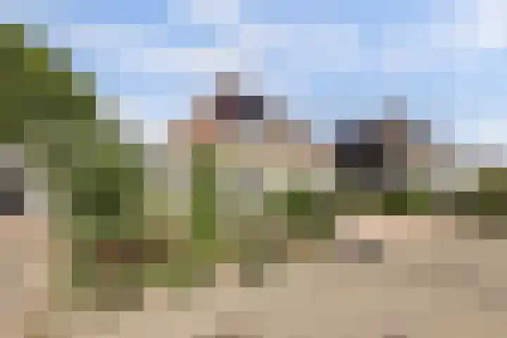 Akelei 47 Tiel thumbnail 54