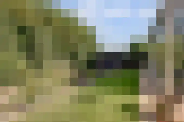 Akelei 47 Tiel thumbnail 55