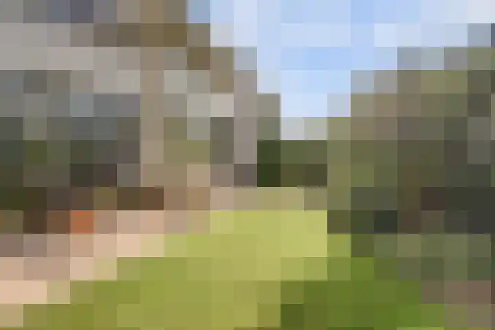 Akelei 47 Tiel thumbnail 56
