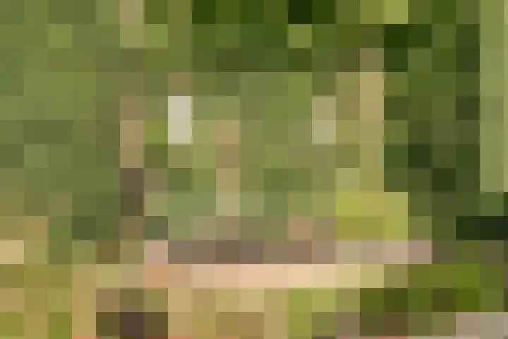 Akelei 47 Tiel thumbnail 57