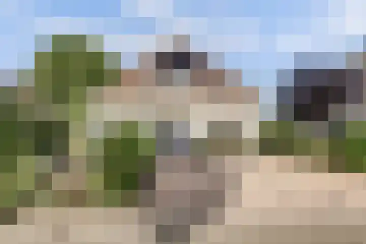 Akelei 47 Tiel thumbnail 58