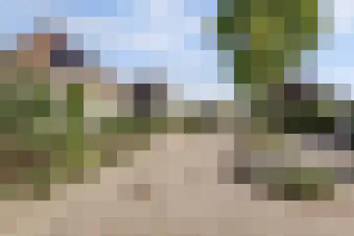 Akelei 47 Tiel thumbnail 59