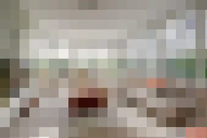 Akelei 47 Tiel thumbnail 6
